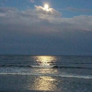 Meet your Posher, Monica